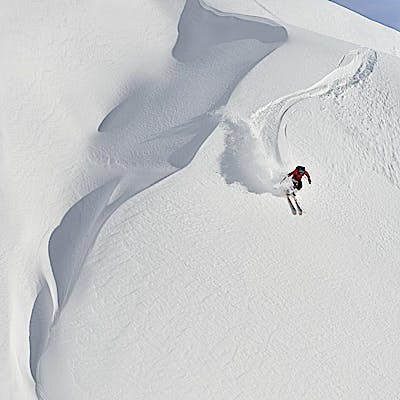 Cover image for “I’m looking for a challenge!”