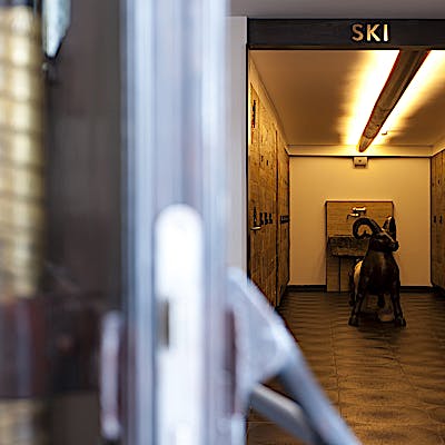 Saugut durch fleiss und selbstironie 47 754vqeibw