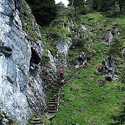 Titelbild für Die Essenz der Alpen