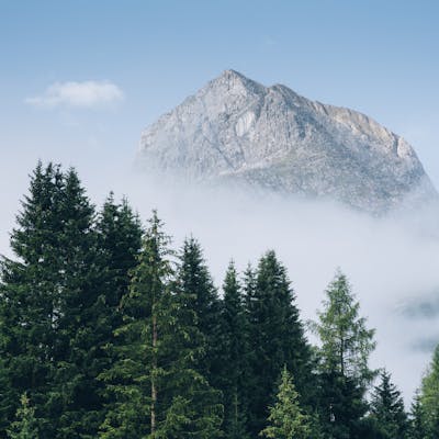 Landschaft im Sommer c die WEST at c Lech Zuers Tourismus