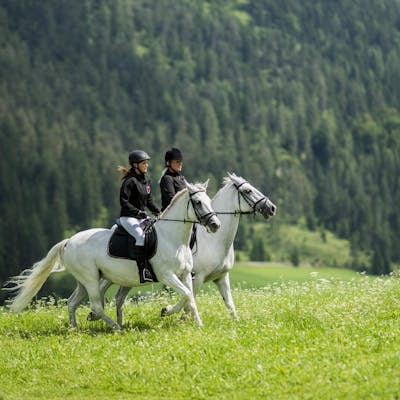 Posthotel Achenkirch 08546
