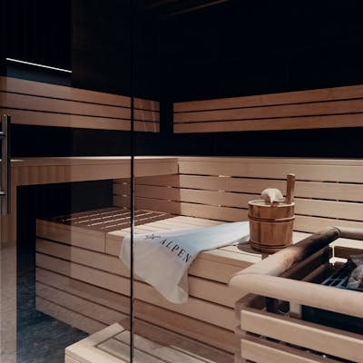ALPENSTERN Sauna 001 Kopie